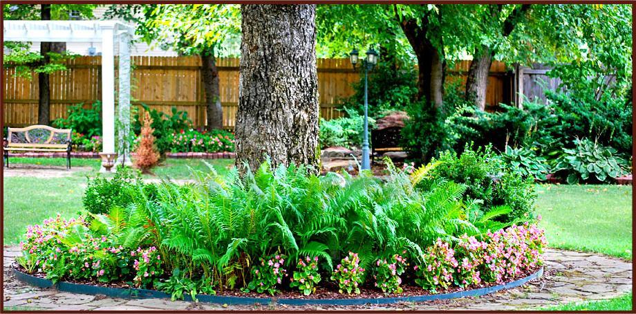 מוסקוגי Hayes House Bed And Breakfast מראה חיצוני תמונה